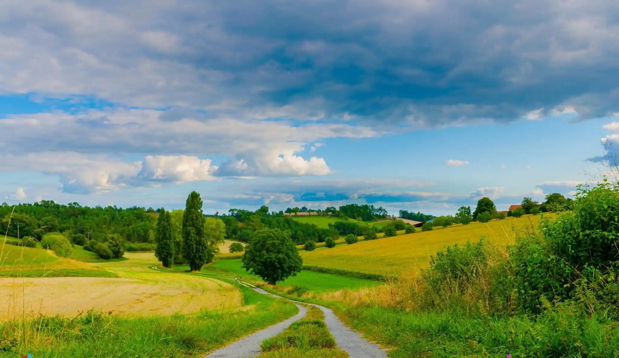 Green and yellow meadows in the Dordogne.